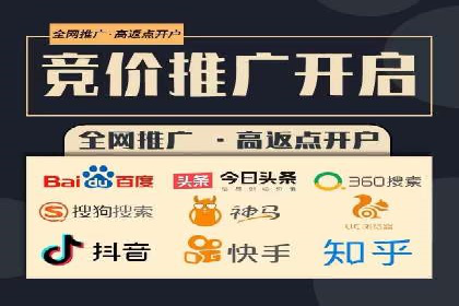 百度推广中SEO优化的成功案例分析